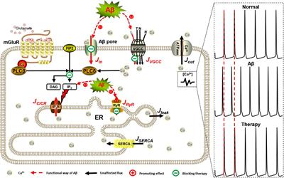 Unraveling Aβ-Mediated Multi-Pathway Calcium Dynamics in Astrocytes: Implications for Alzheimer’s Disease Treatment From Simulations